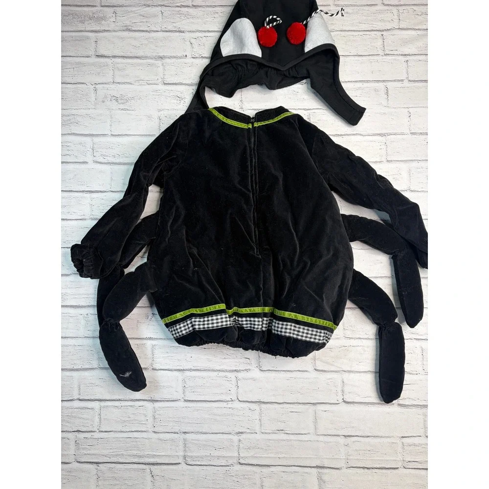 Pottery Barn Kids Spider Halloween Costume Black Velvet Plush Tunic Hood 4-6